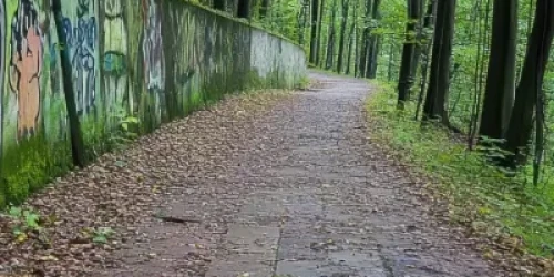 Blog Thumbnail Tall vandalism at park