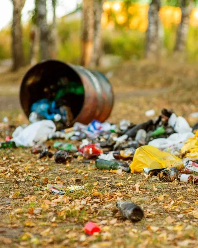 Illegal Dumping - Thumb