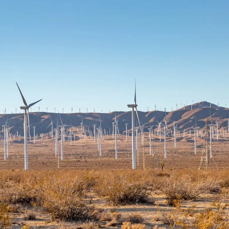 Untitled - 2025-11-05T160346.076