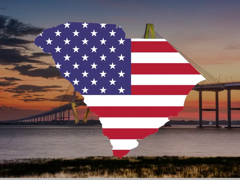 South Carolina State Tile