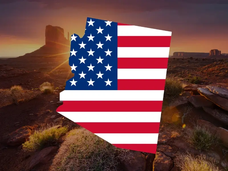 Arizona State Tile