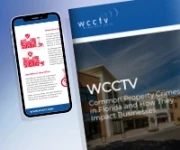 Common Property Crimes in Florida and How They Impact Businesses